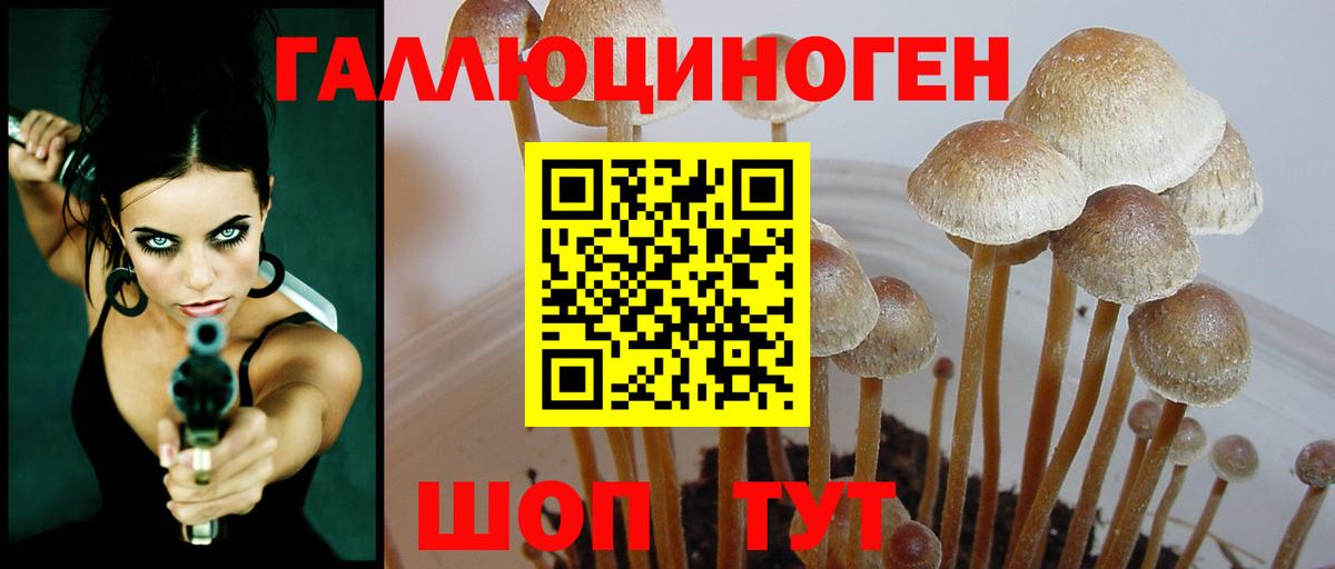 Галлюциногенные грибы мухоморы Валуйки